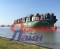 Китайский контейнеровоз заблокировал порт Антверпена