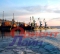 Владивостокский морской порт идет на рекорд по грузообороту